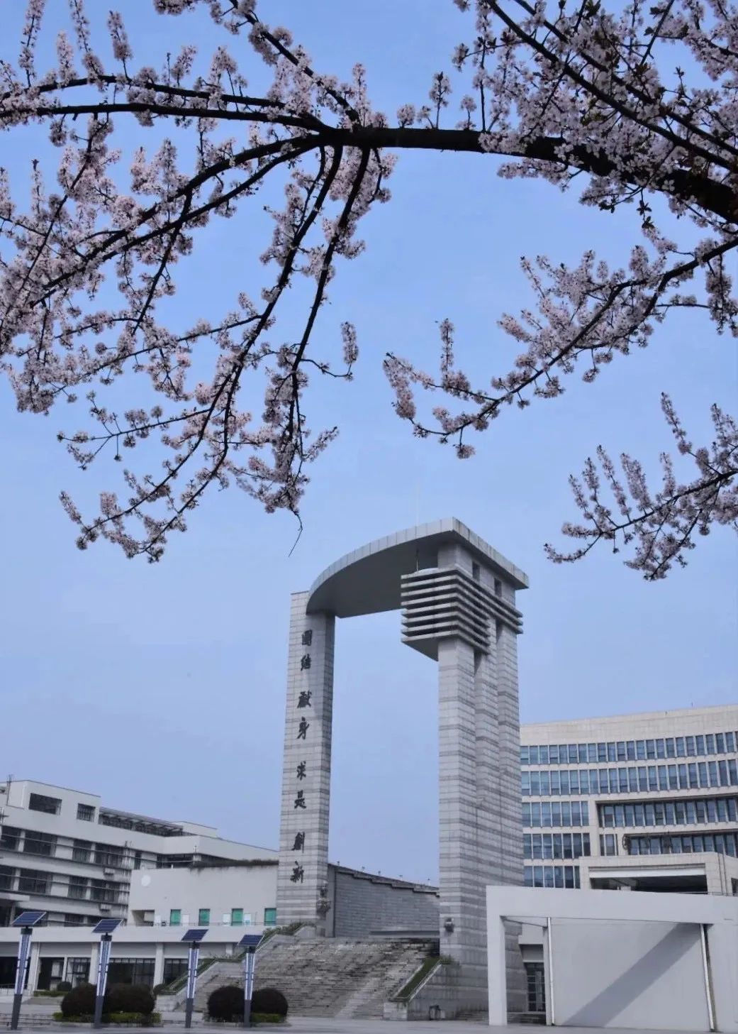 想念上學的第n天,足不出戶帶你雲遊春日「最美校園」!_南京林業大學