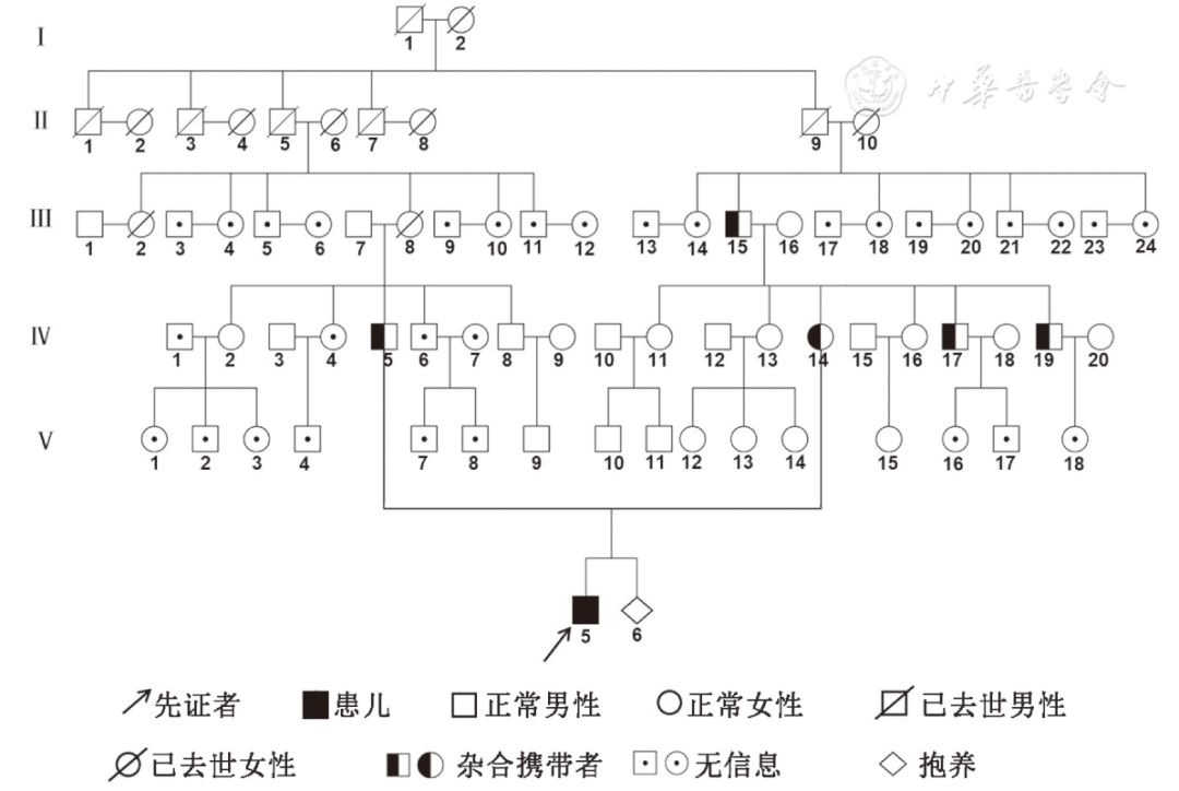 【心血管疾病研究】純合型家族性高膽固醇血癥家系