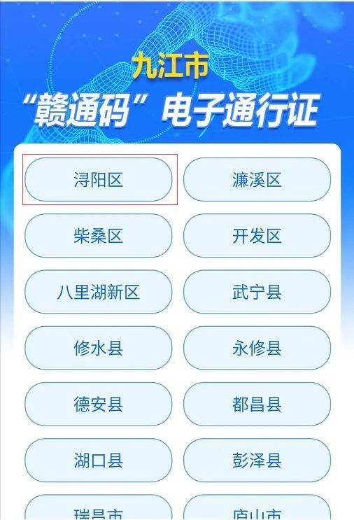 第五步:进入九江市"赣通码"电子通行证申领页面,如实填写信息.