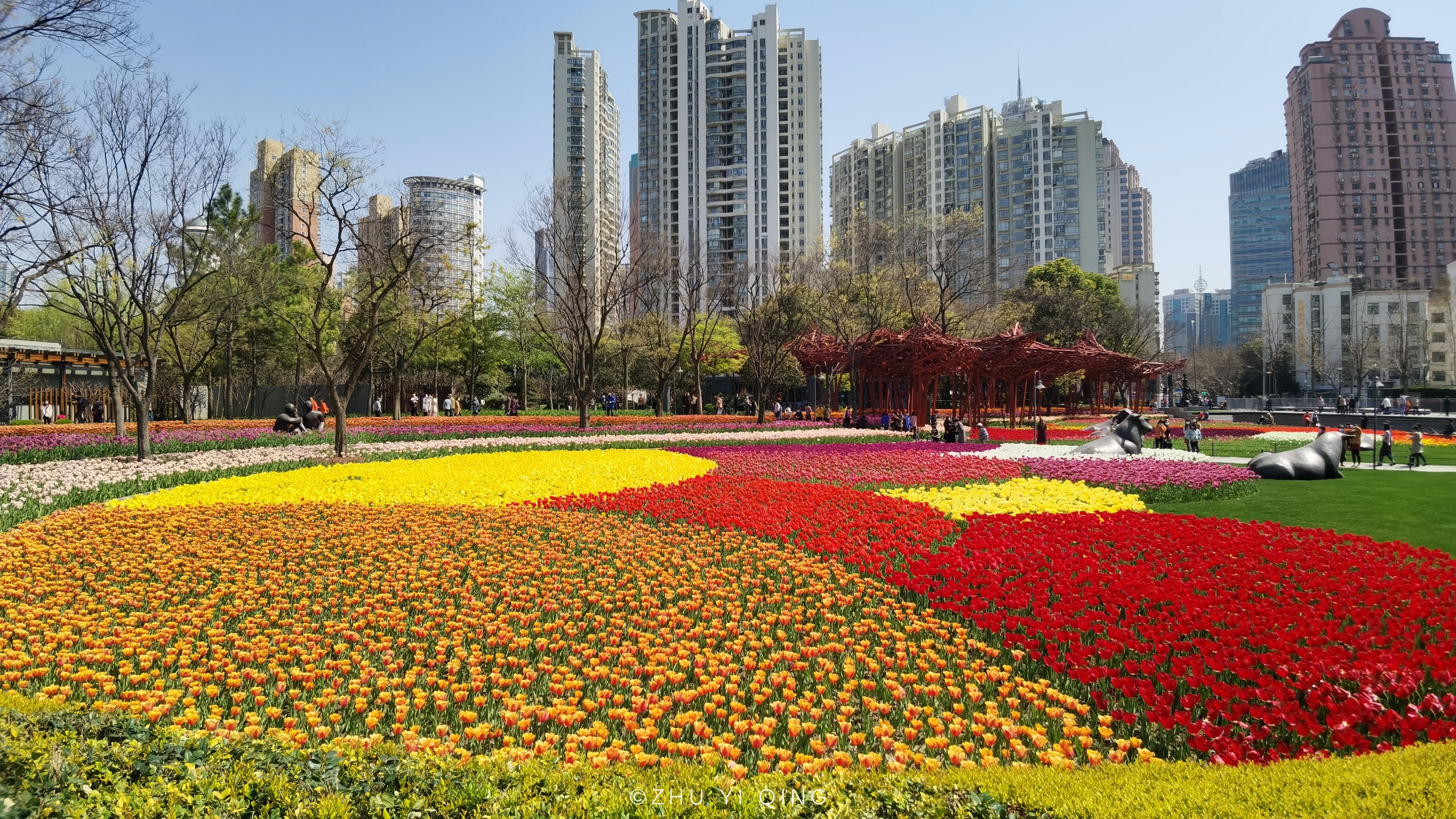 上海公园赏花图片
