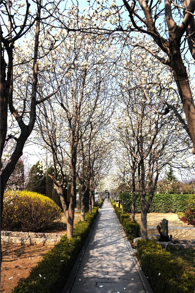 河南省许昌市玉皇岭墓园注重祭祀情感提供多项服务