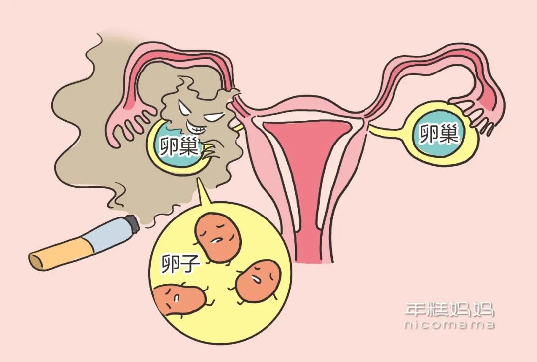 糟蹋卵巢的這3件事每個媽媽都可能中招