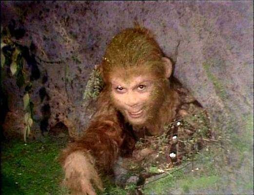 武松打的老虎是真的,《西游记》里五指山大蟒蛇也不是道具!