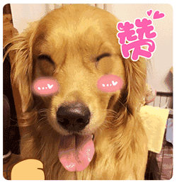 明天17点金寨县长为咱县农产品直播带货还有好礼相送