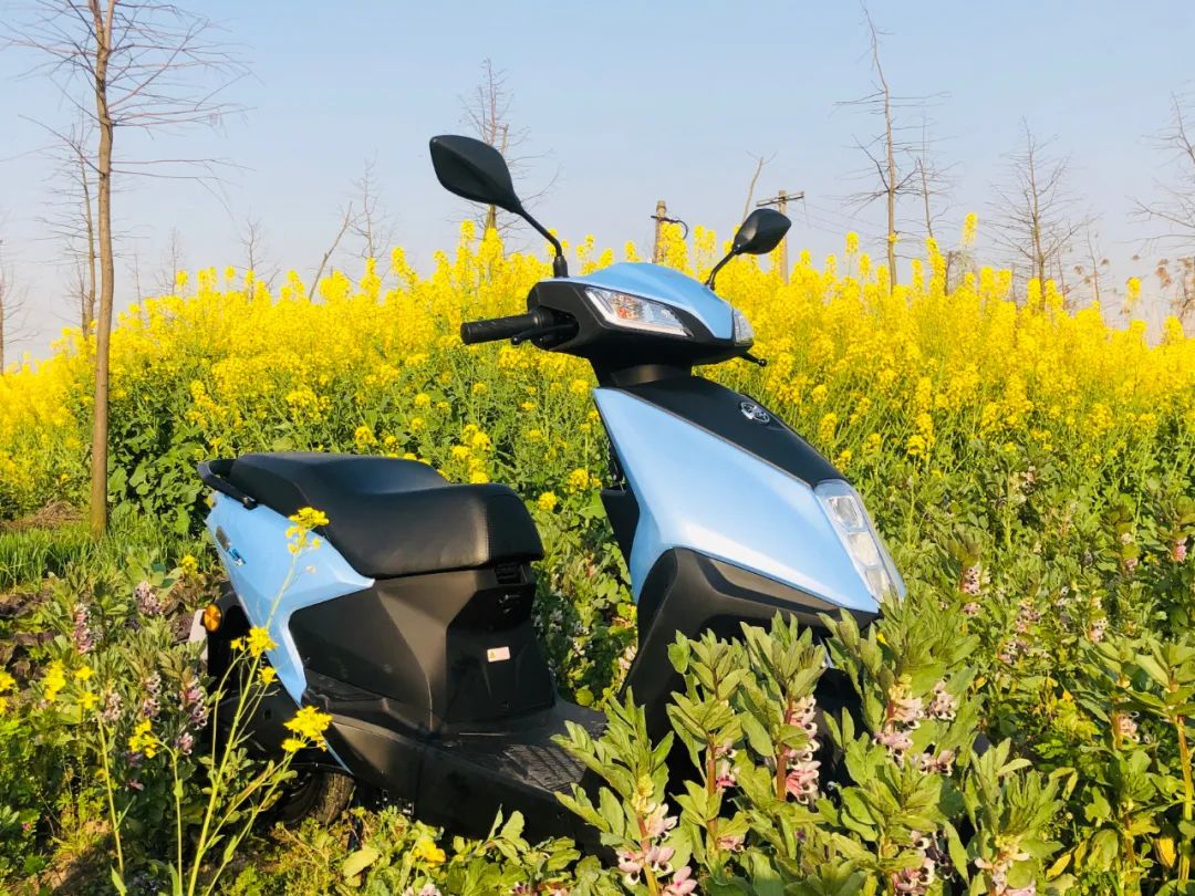 净原s5颜值卓越,尽显运动之美