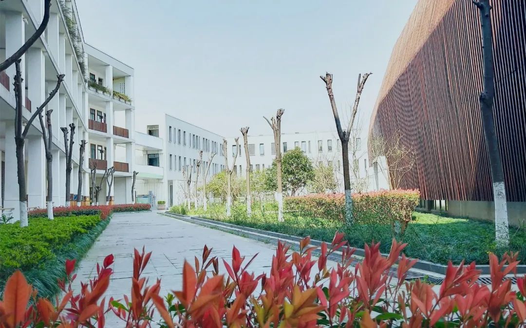 《繁星》金鹤中学 金建峰 《紫藤长廊迎来春的脚步》嘉定区青少年活动