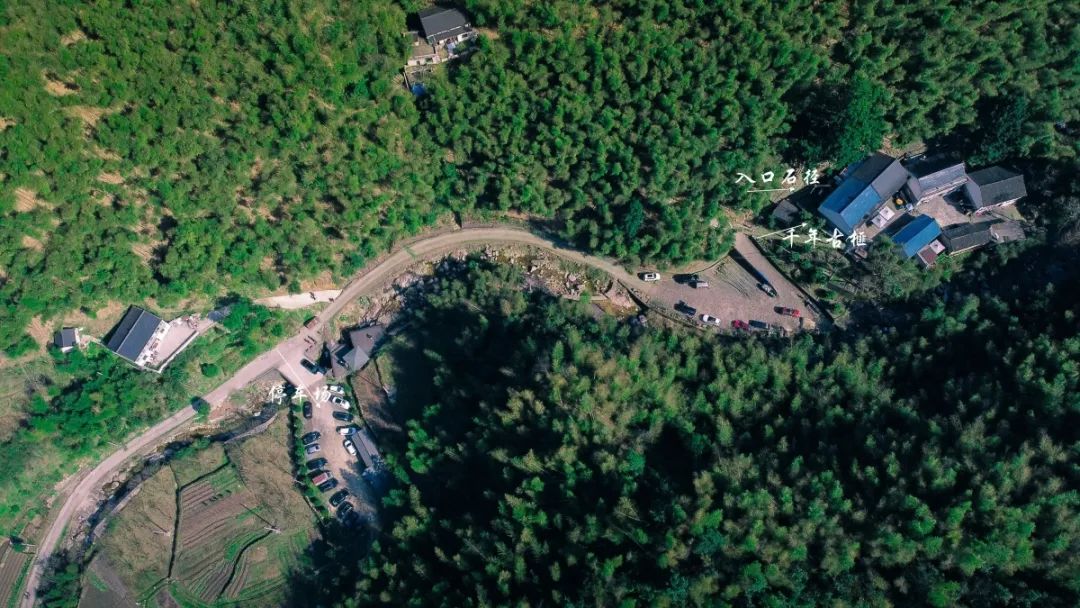 看山玩水游古村陈溪春日游玩线路指南来啦