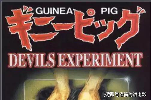日本豚鼠实验1图片