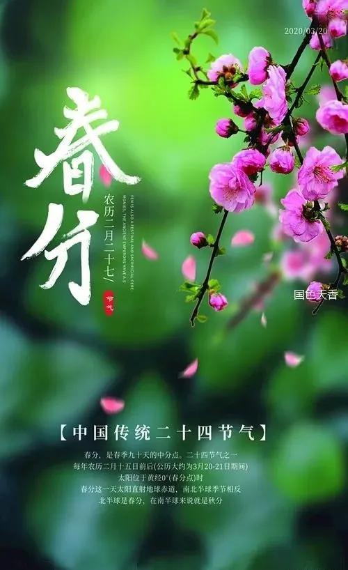 春分|春暖花开,风吹柳绿