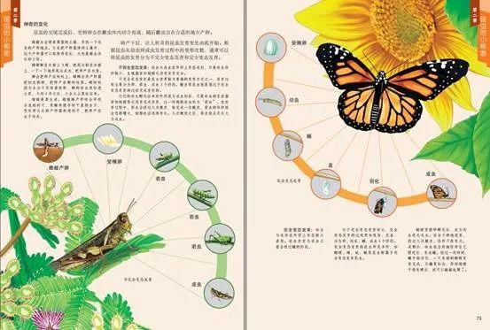 天气转暖万物复苏让我们一起来感受生命律动