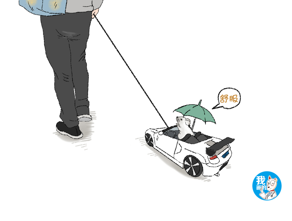 原创远看男子拖着玩具车凑近一看里面有只仓鼠也太听话了吧