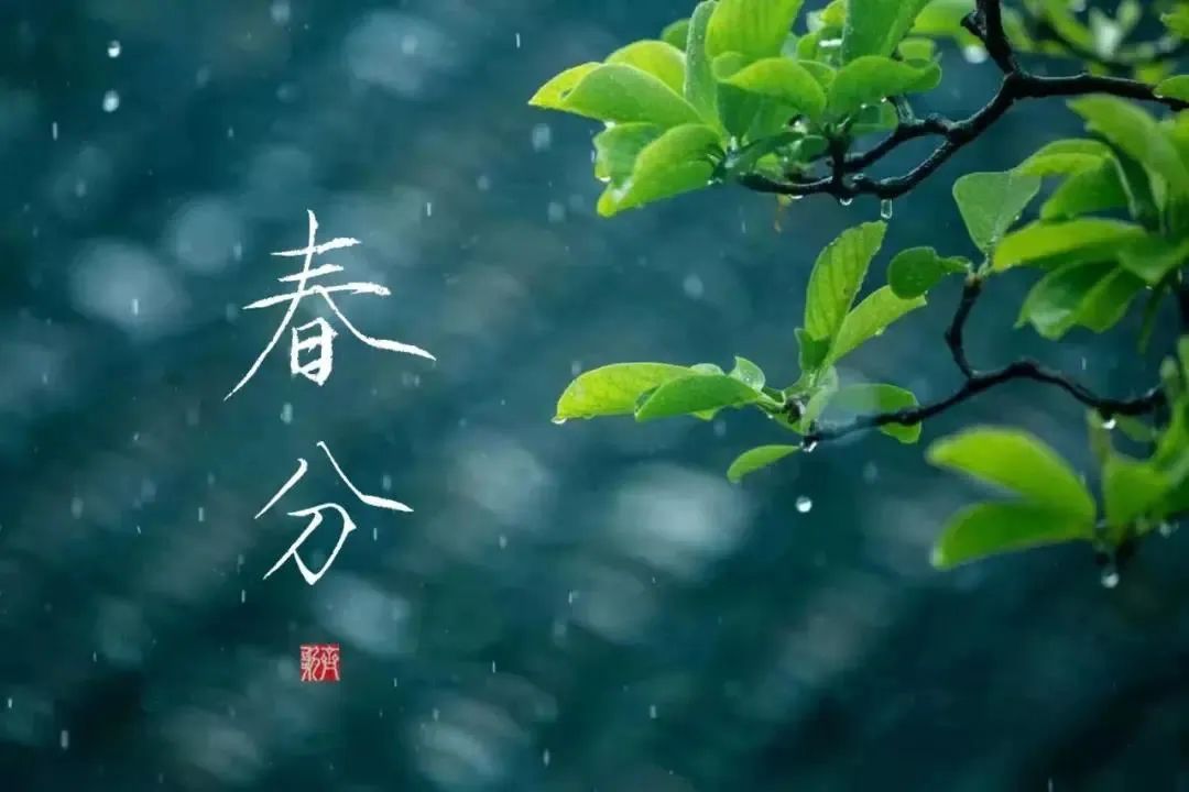 春分春光无限好朗读正当时