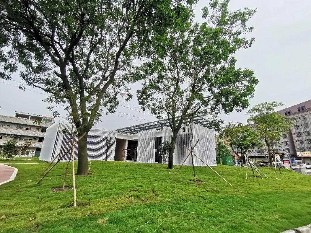 【中山横栏文明实践】总结创文工作经验成果 奋力展现文明横栏新风采