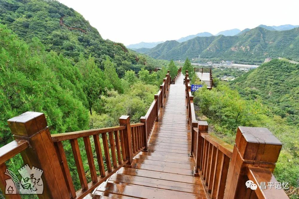 明年再约居庸关花海栈道封闭管理千万别白跑啦