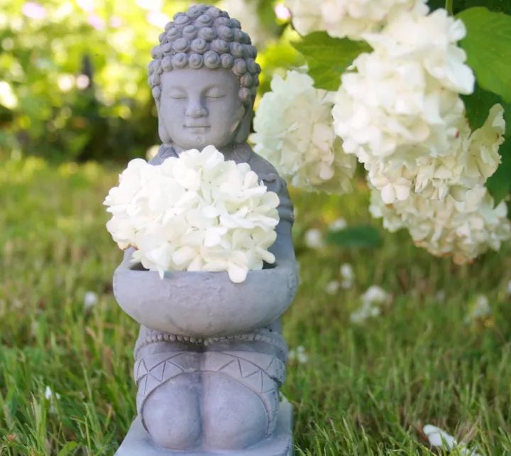 故事禅 | 采花献佛_佛陀