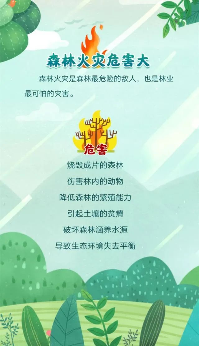 鲅鱼圈春季森林防火十不准五不烧