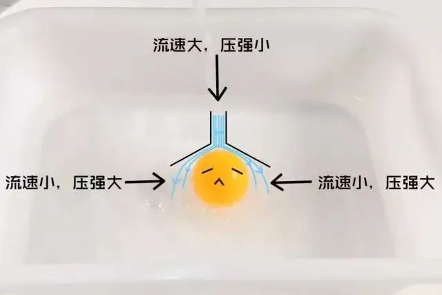 家园共育微课堂|水的秘密