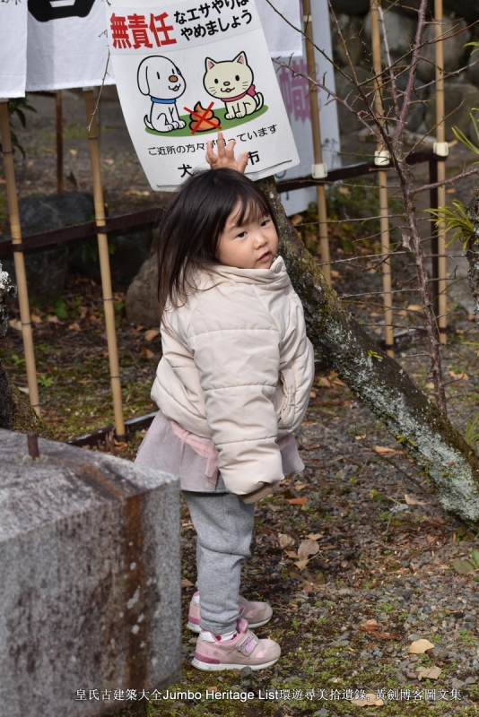 一位少妇领着小女孩子过来参观,我们走上高台,神社聚集了很多群众