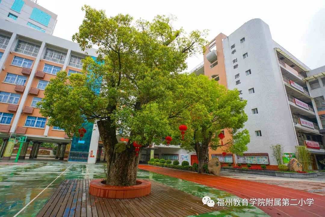 n天不见还好吗春在校园里等你们