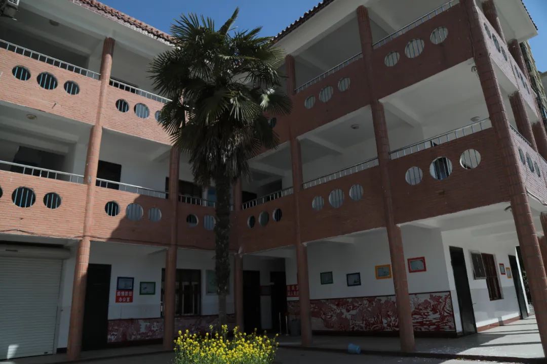 沛县汉源中学沛县第五中学校园内是簇簇新绿阳光下的跑道期待着青春再