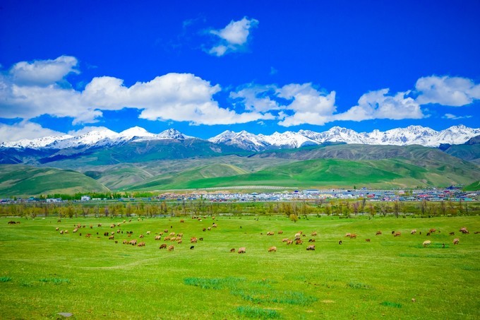 醉美那拉提靓丽塔吾萨尼集草原山丘森林雪山于一体