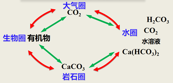 自然界中碳循环第四部分 碳循环2,甲烷1,碳酸钙第三部分 碳的其它化合