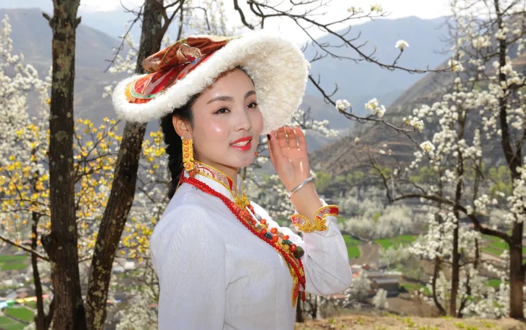 5g直播丨明天中午1200家里蹲着云赏花看你心心念念的金川梨花有多美