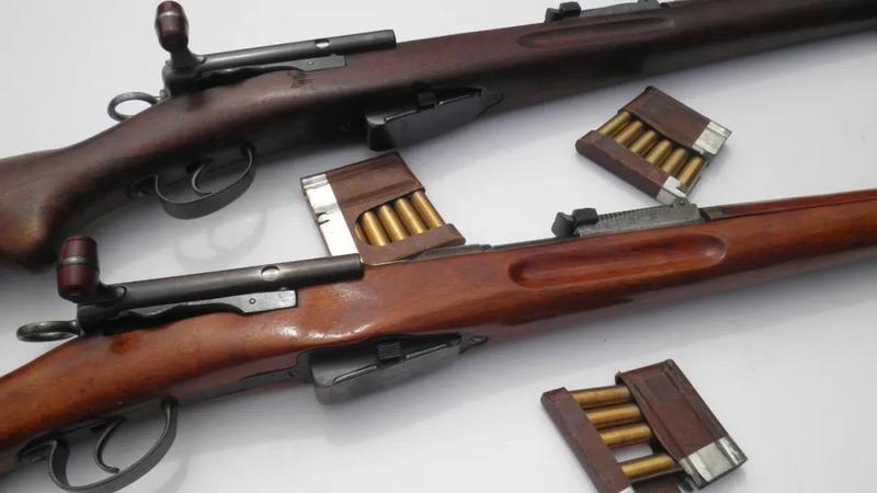 号称二战最好用的步枪,却没参加二战?奇葩的瑞士了解一下_德国