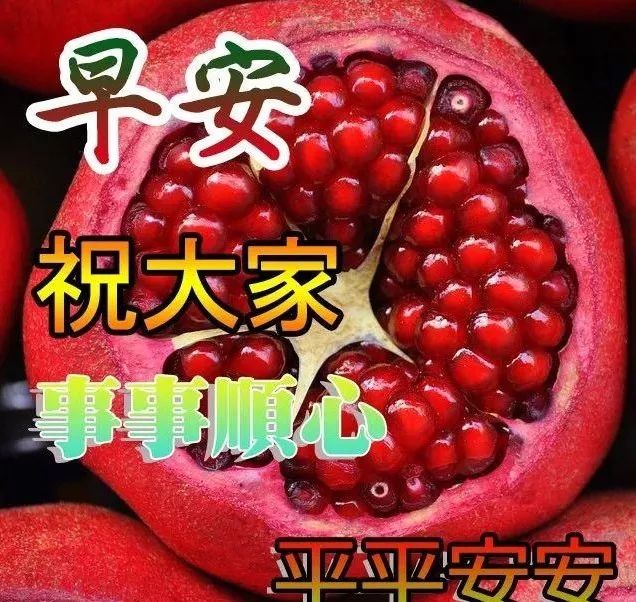 清晨问候早上好的祝福语图片动态带字群发朋友早上好的语录表情图片