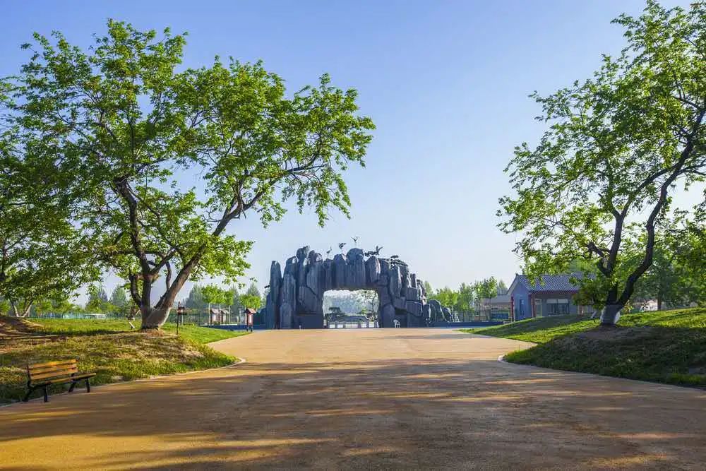 夏津县黄河故道森林公园德百旅游小镇正式开园啦