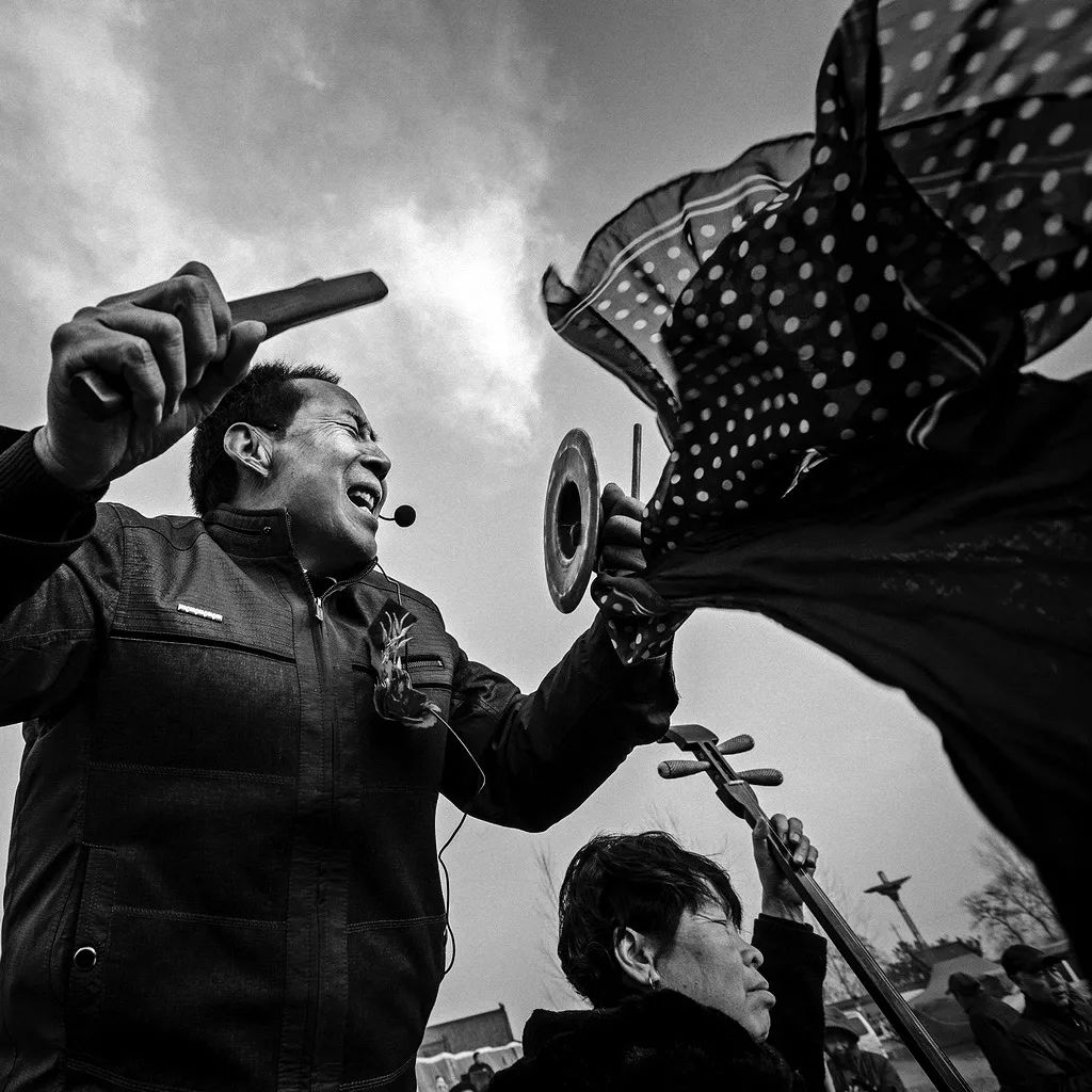 国展汇总|长期关注类组照(四)_摄影