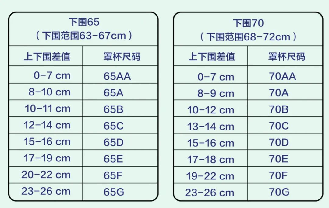 罩杯体重对照表图片