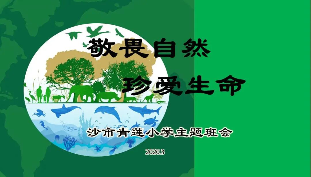 敬畏自然珍爱生命主题班会报道