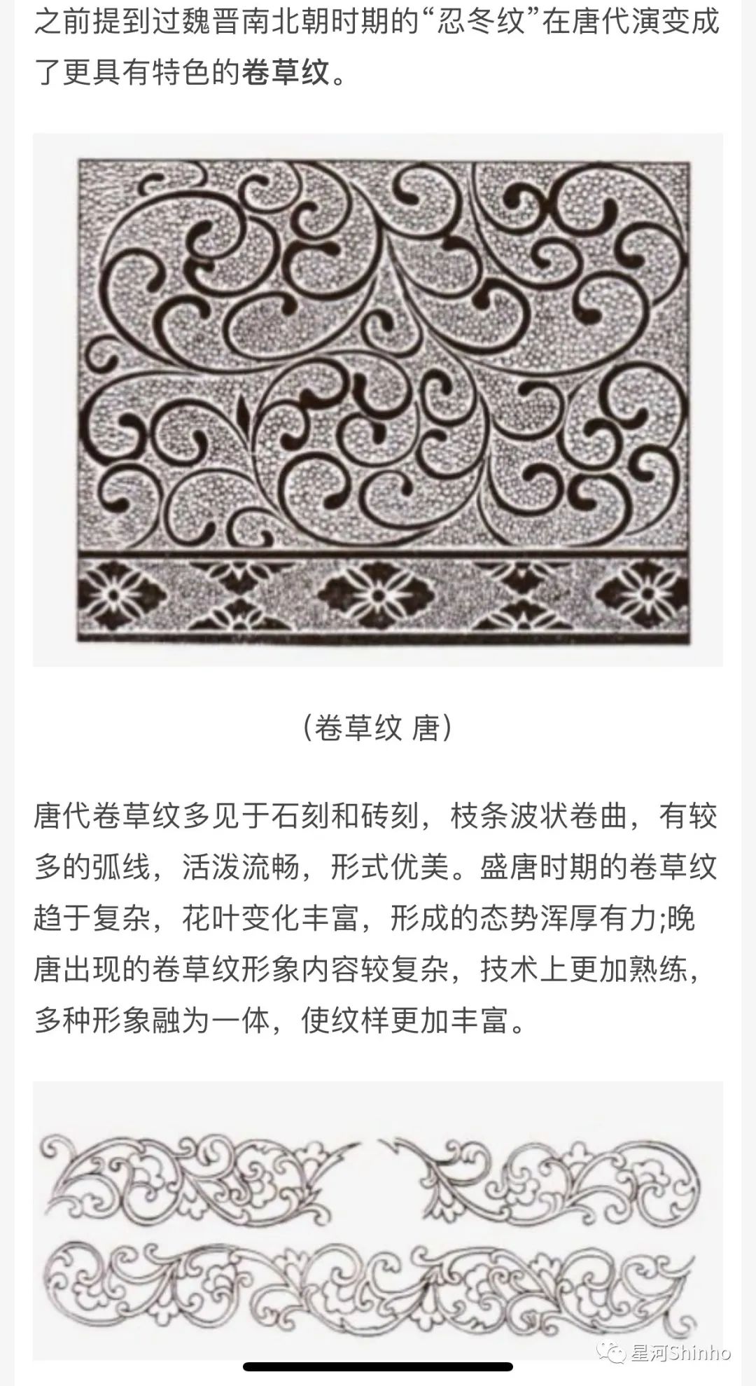 上衣米色,和下裙的底色一致,非常和谐,领口和袖缘都是卷草纹,这种纹路