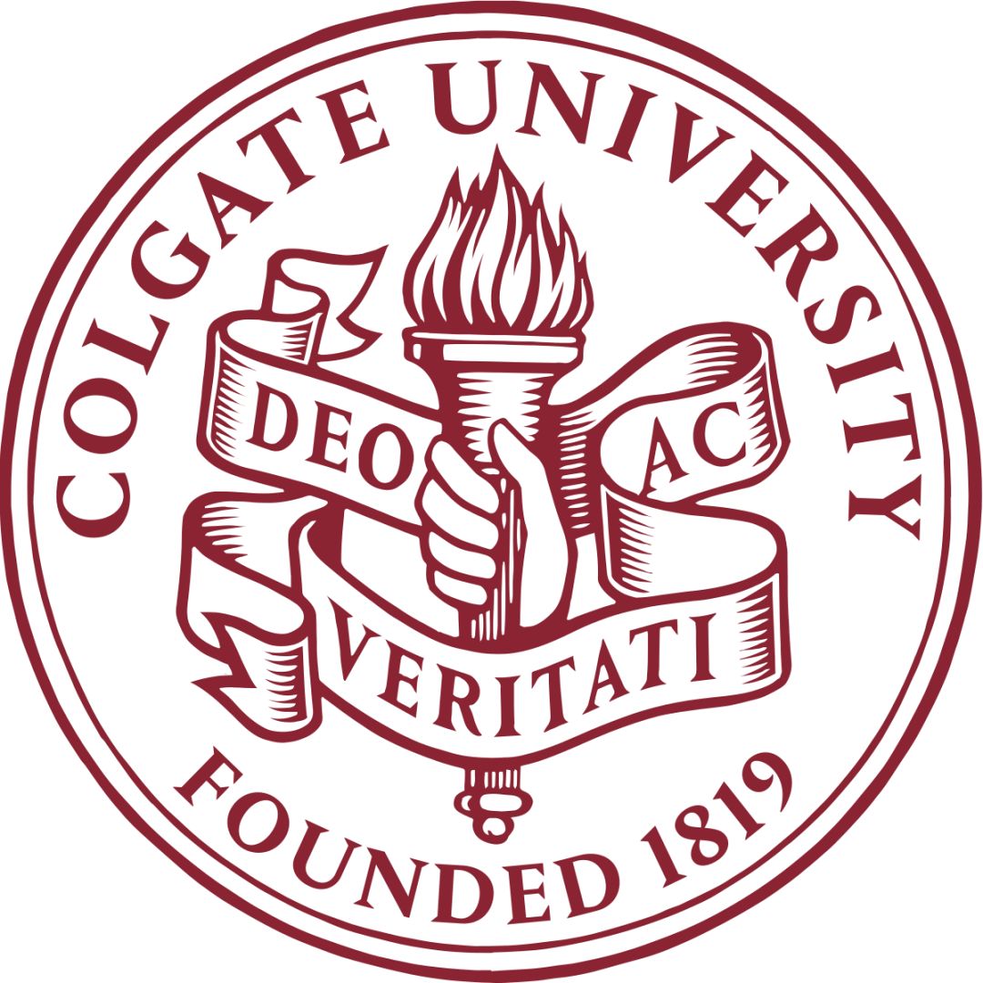 纽约理工大学logo图片