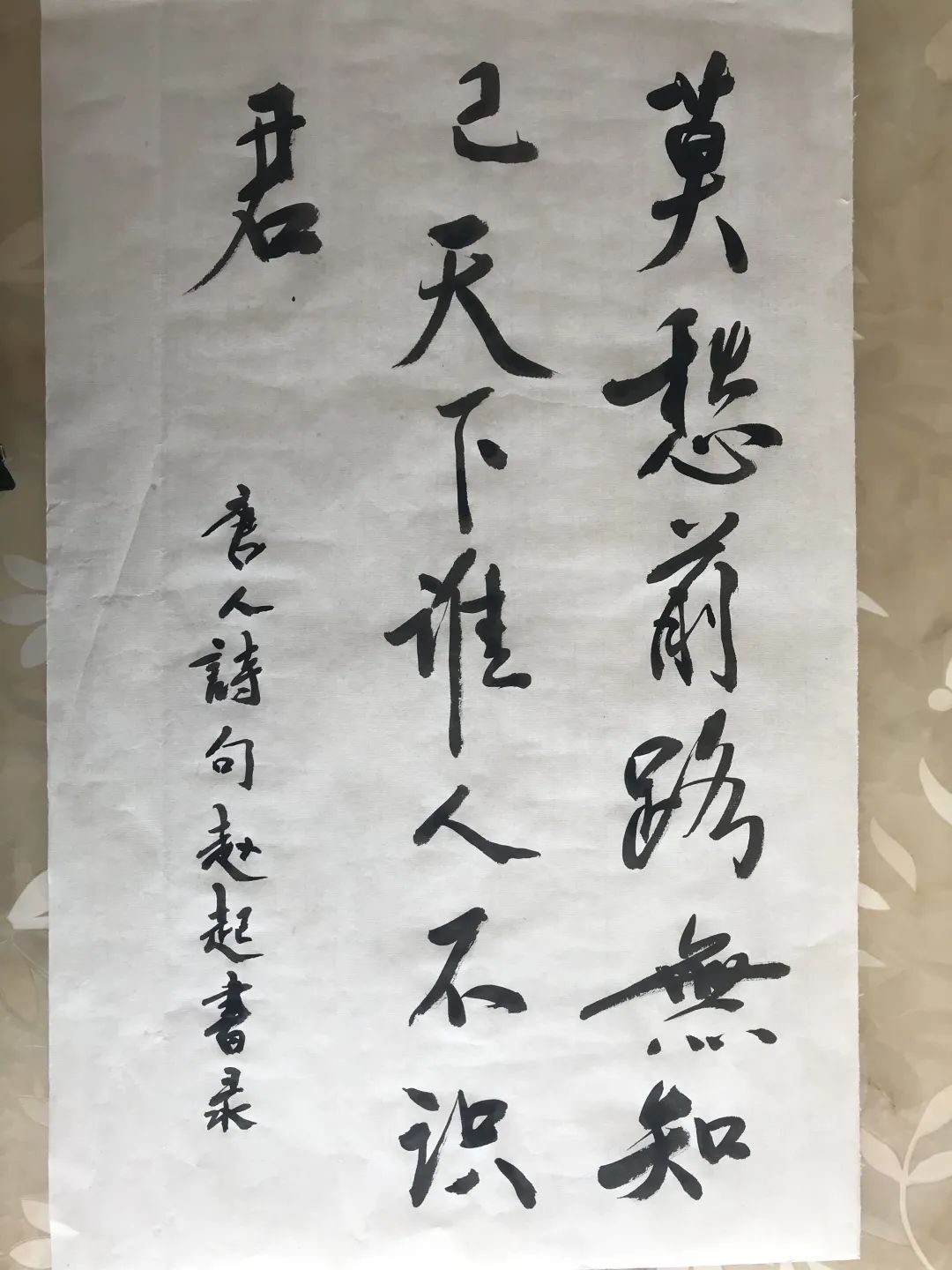 赵起 许贺辰李景沛 李雨桐席思雨 刘金彤蒋若雨 杨玲何雪筠 卫乐逯阔