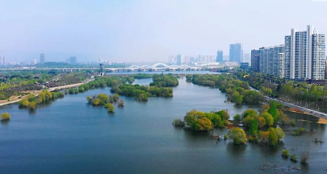 以生态健康 生活氛围 地段价值为综合评判,浐灞核心区的浐灞半岛板块