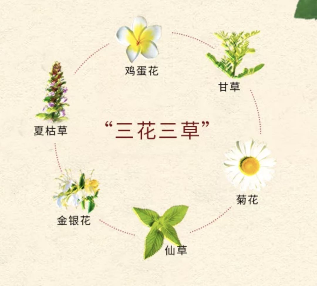 各个都是清热解毒的代言人王老吉成分中的「三花三草」是火锅店自助