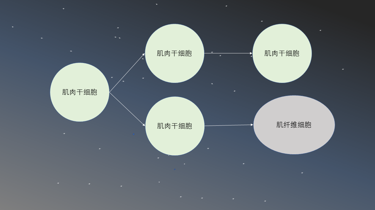 小知识肌肉是怎么生长的