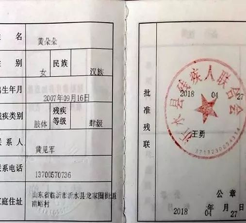 中国残联二代残疾证图片