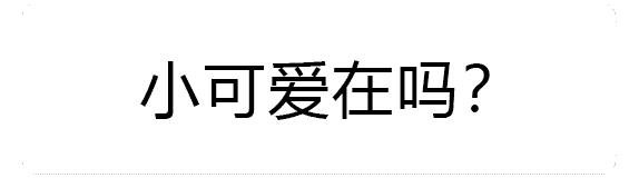 565_160gif 动态图 动图