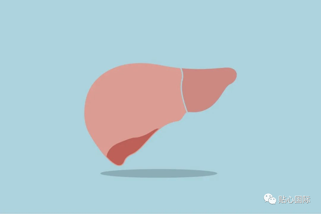 贴心医生日本肝脏癌的检查和治疗方法