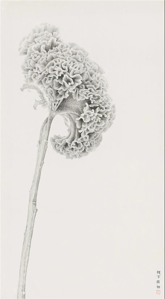 纸本2017 se 180x100cm ink on paper 2017呈现了完全不同的鸡冠花