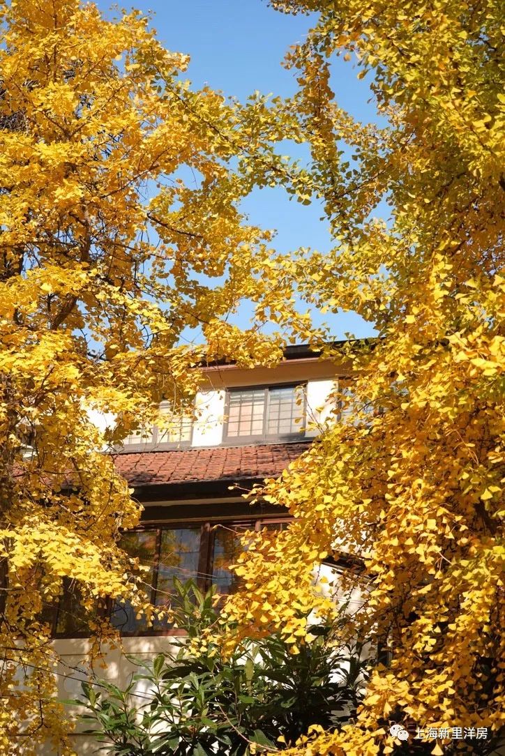 现在有一套凡尔登花园整栋新里放盘出租,5万每月.