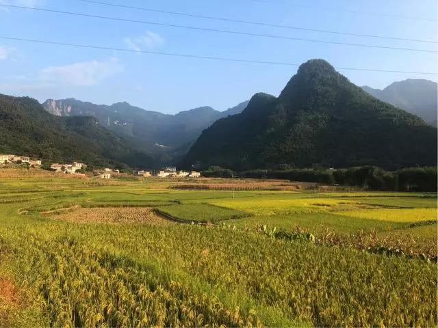 宜宾双河西坝四季风光