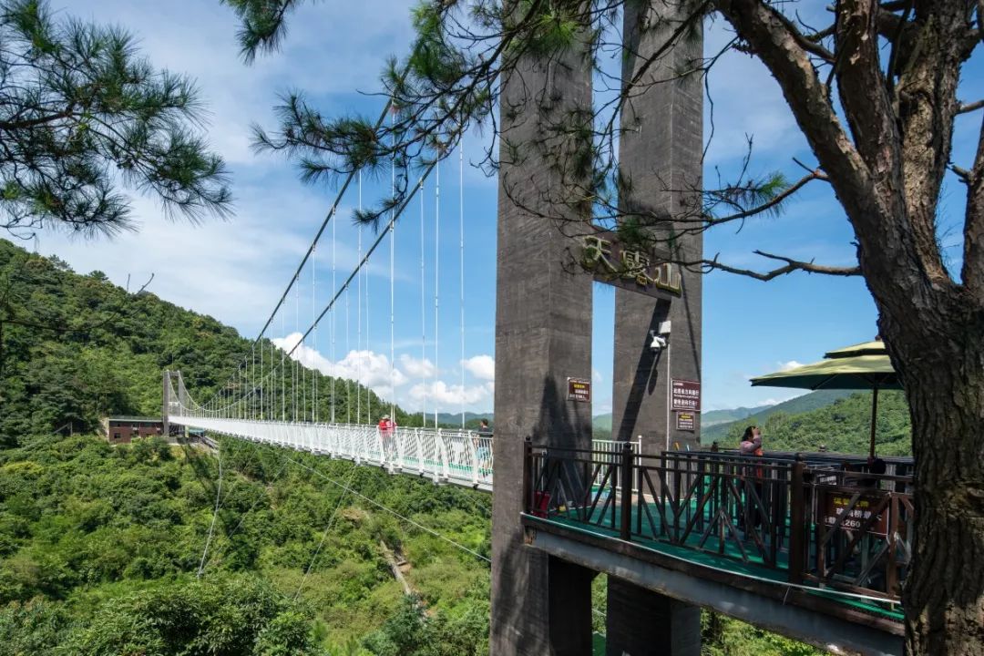 玩寻味带你游广东3月21日云浮新兴天露山恢复开园半价游天露山