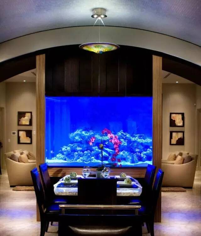 看看土豪家的鱼缸,大开眼界!