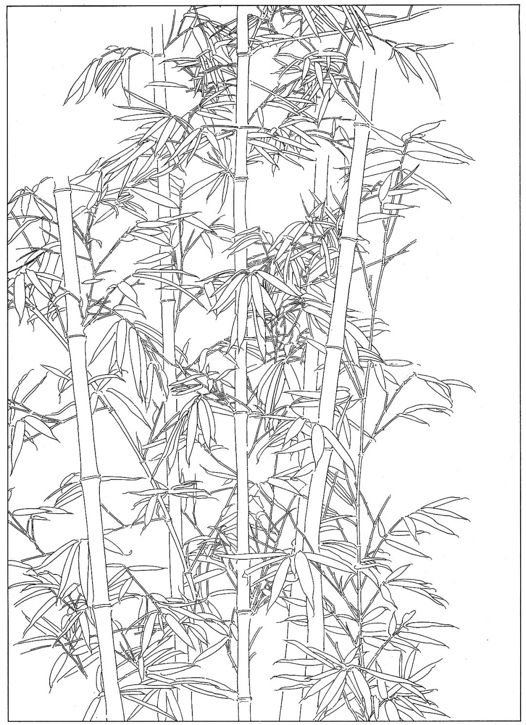 竹之高雅即心之高雅24副高清白描竹子图