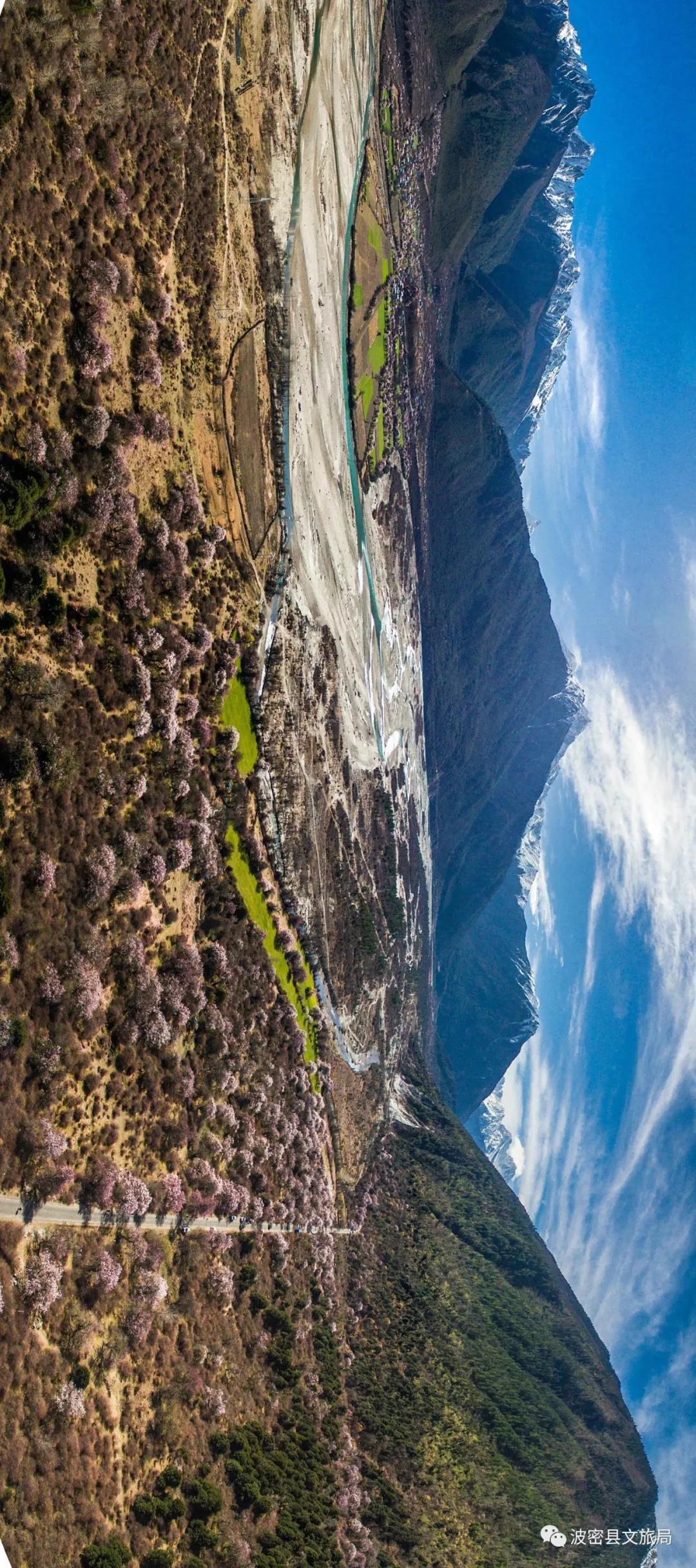 波密邀您云赏花vr全景带你看它的盛世美颜