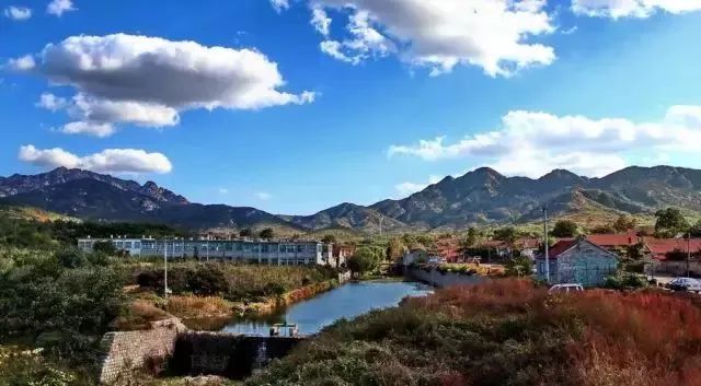 龙口,一座来了就不想走的城市_文化